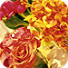 corp acc image