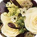 pic1sm