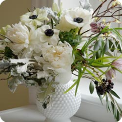 shop image