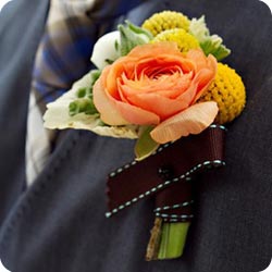wedd image