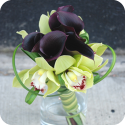 wedd image