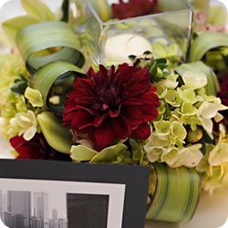 wedd image