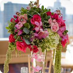 wedd image
