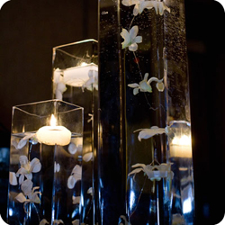 wedd image