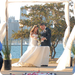 wedd image