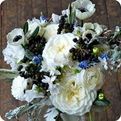 wedd image