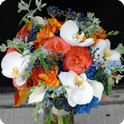 wedd image
