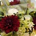 wedd image