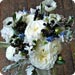 wedd image