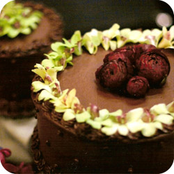 wedd acc image