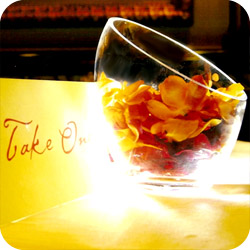 wedd acc image