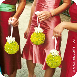 wedd acc image