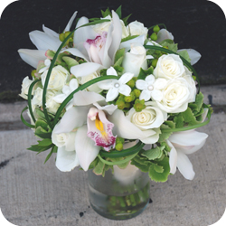 wedd acc image
