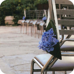 wedd acc image