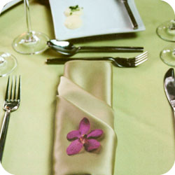 wedd acc image