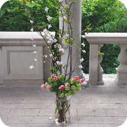 wedd acc image