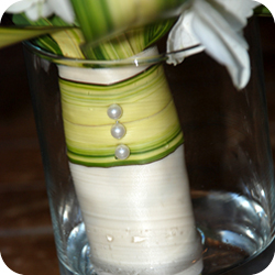wedd acc image