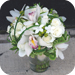 wedd acc image