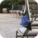 wedd acc image