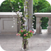 wedd acc image