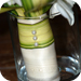 wedd acc image